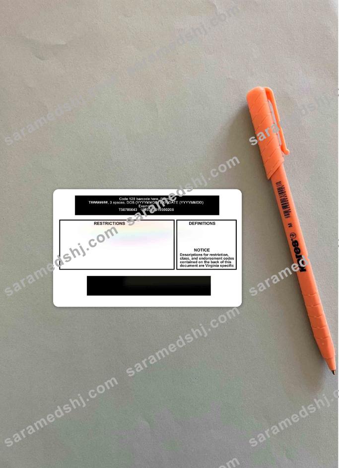 USA Virginia driving license under 21 photolook BACK